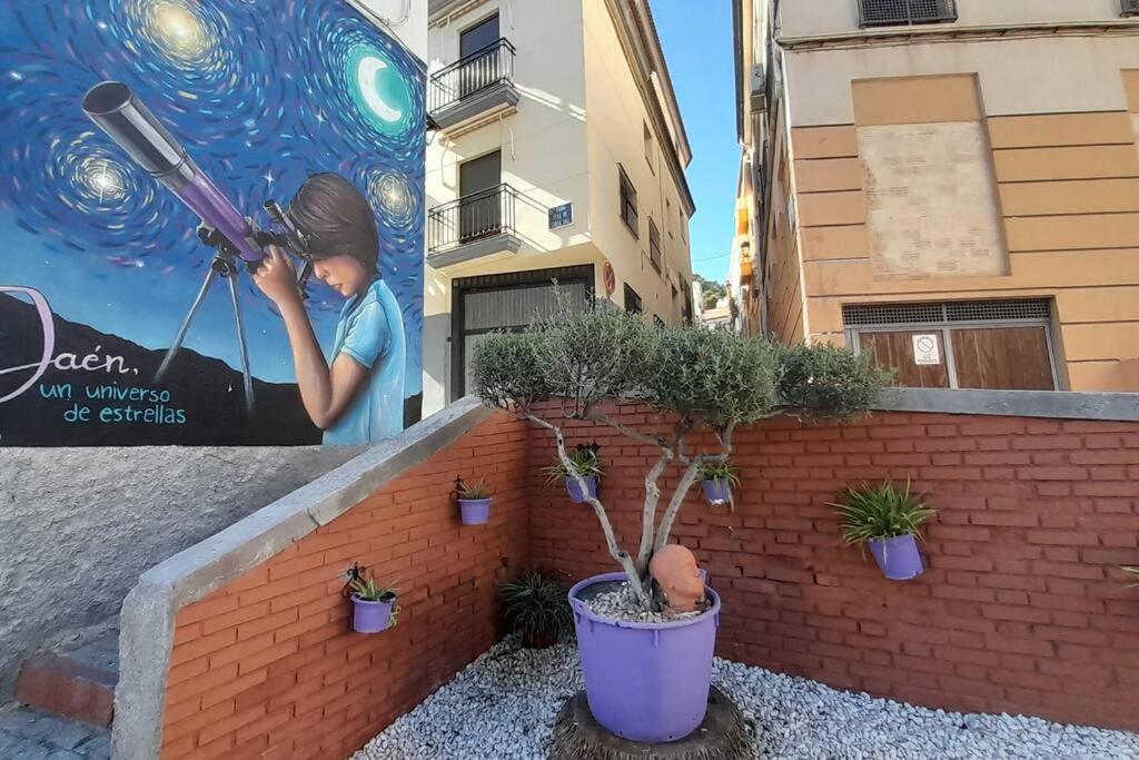 Rinconcito En El Almendral Διαμέρισμα Jaén Εξωτερικό φωτογραφία